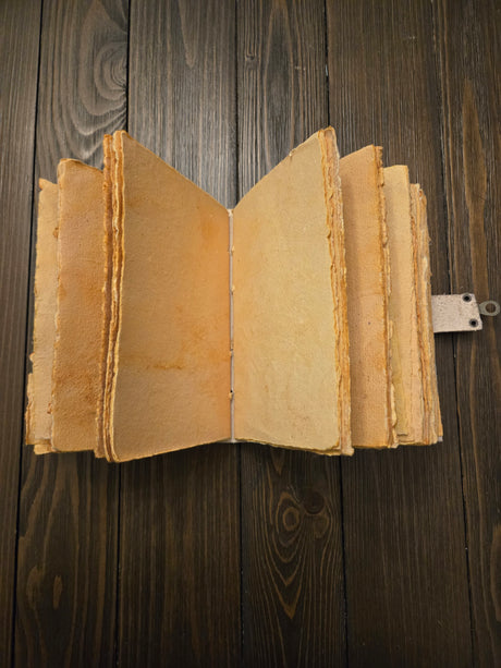 Leather Solar Journal